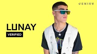 Lunay "Soltera" Letra Oficial Y Significado | Verified