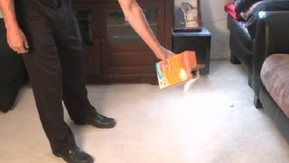 How to Get the Wet Smell Out of Flooded Carpet : Carpet Cleaning Tips