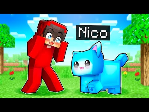 Nico ist Cashs Katze in Minecraft!