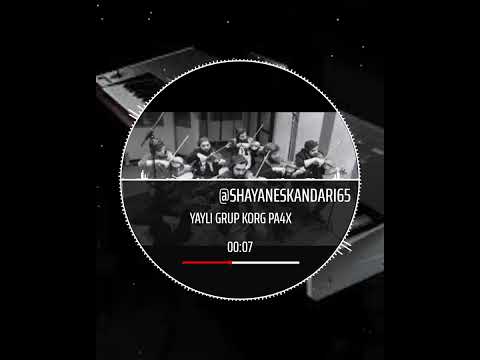 yayli grup korg pa4x.istanbul strings