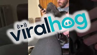 Screaming Rescue Dog Wants Attention from Unamused Owner || ViralHog