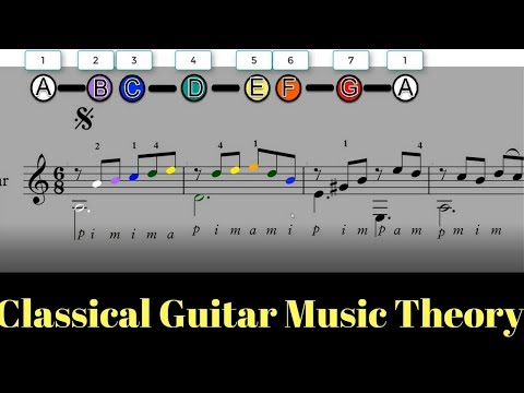 Classical Guitar Music Theory Lesson - Fernando Sor Op. 60 No. 5 Using COLOR - Part 1