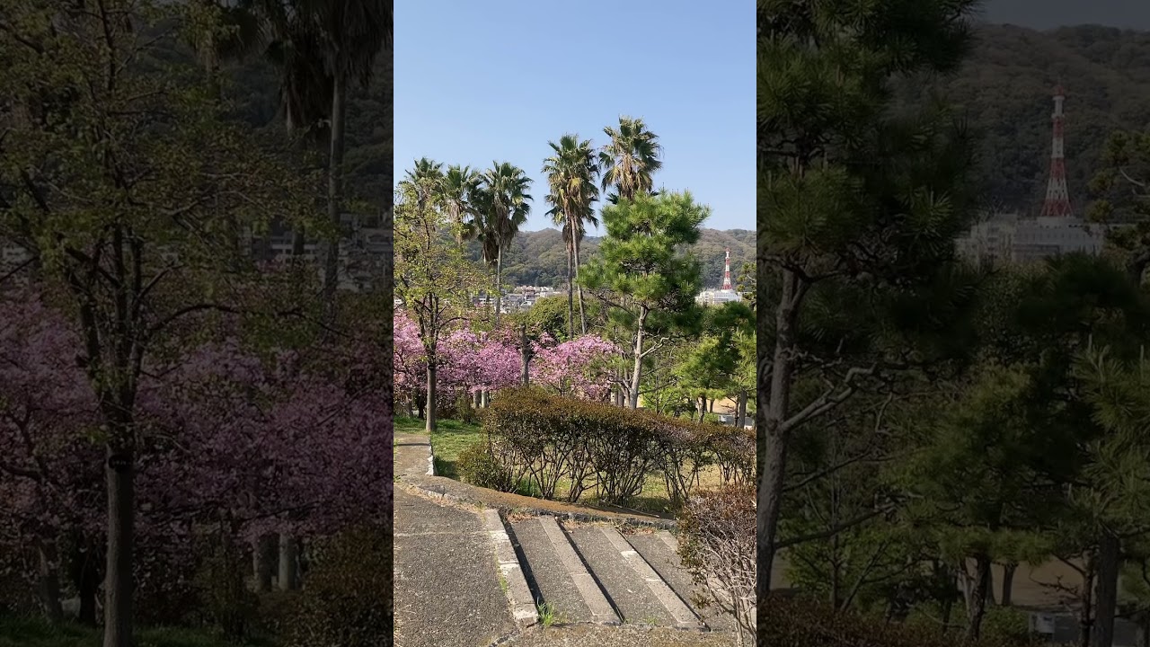 YouTube Short thumbnail