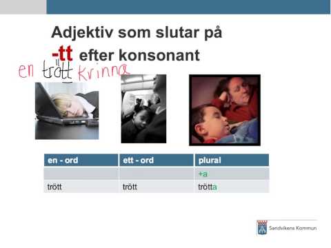 Sfi-Sandviken-grammatik-adjektiv speciella former