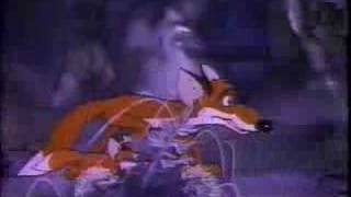 The Little Fox (1981) Video