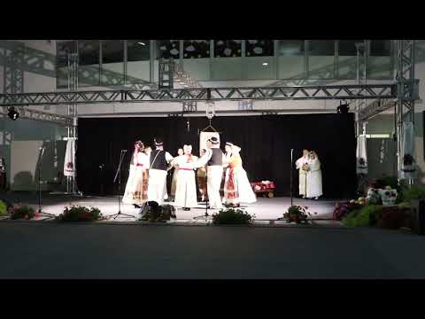 Boje moga zavičaja: KUD "Posavina" Budaševo