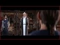 Kung Fu Master Tiger Style