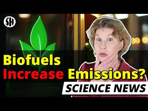 Biofuels are Delusion, New Data Reveal