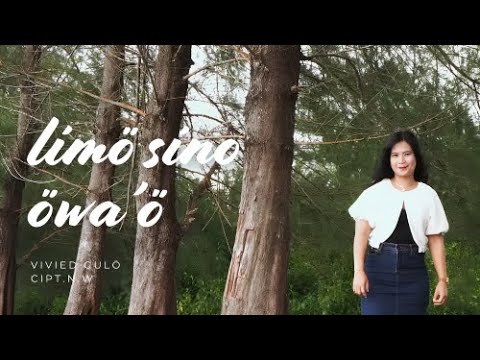 Limö Sino Owaö - Vivied Gulo