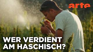 Kiff im Rif: Marokkos Cannabis-Wende | 360° Reportage | ARTE