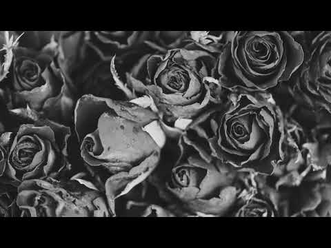 Tellaman,Crownedyung-Silence