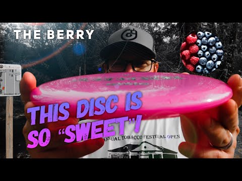 Clash Discs Berry Midrange *Steady Plastic*: Daddy Delp ...