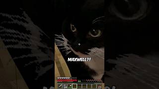 Maxwell die Katze in MINECRAFT?😂 #minecraftshorts #lustig #maxwell