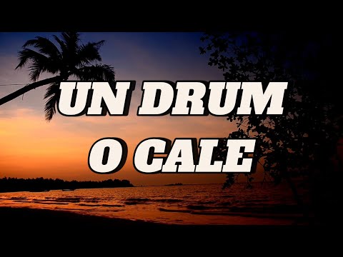 cFlorin - Un drum, o cale (Audio Oficial 2025)