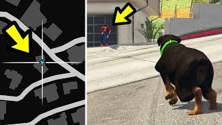 GTA 5 - I left Chop alone, and he ran to another house!