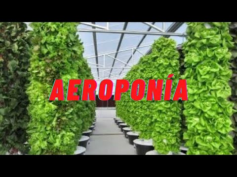 , title : 'Aeroponia- PRODUCIR PLANTAS en el AIRE sin TIERRA'