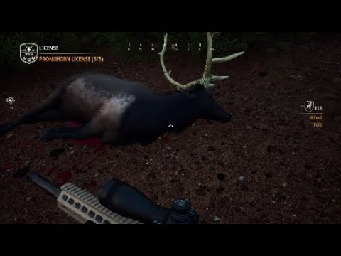 972 Yard Elk Vital Shot | Hunting Simulator 2 Longest Snipe