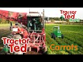 Lets Look at Carrots 🥕 | Tractor Ted Shorts | Tractor Ted Official Channel