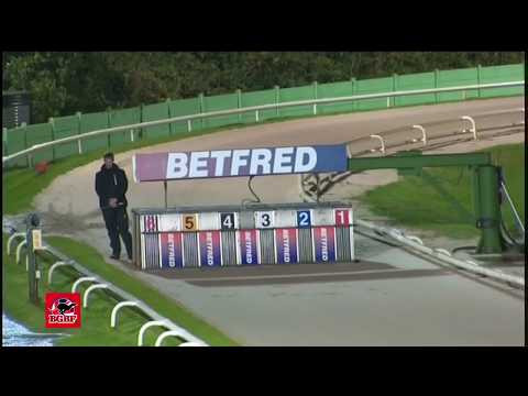 The BGBF/Nottingham British Breeders Stakes - Ht 4 - Carn Brae