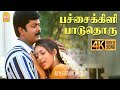 Pachaikili Paaduthoru 4K Video Song Arivumani Murali Meera Vasudevan Janakiraj Ayngaran