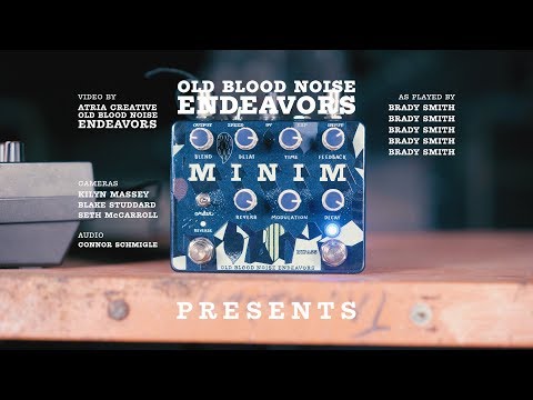 Old Blood Noise Minim Reverb Delay & Reverse Immediate Ambience Machine Pedal image 2