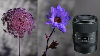Video 0 of Product Tokina atx-i 100mm F2.8 FF MACRO Full-Frame Lens (2019)