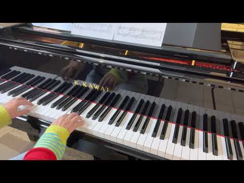 The Millennium Bean Bag Zoo by Catherine Rollin | The Bean Bag Zoo Collector's Series 7 Piano Solos