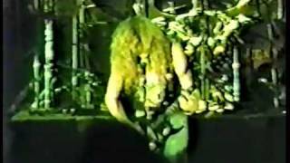 Megadeth - Looking Down The Cross (Live In Detroit 1987)