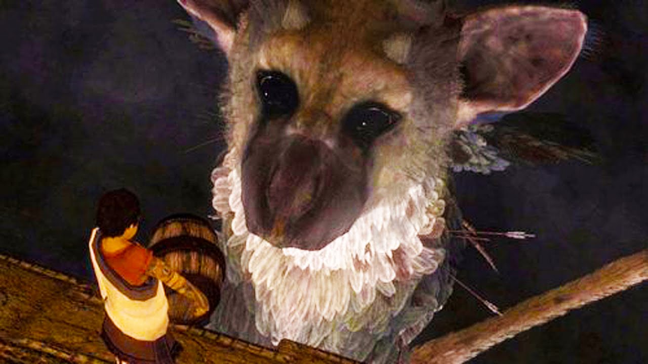 ��������� ����� �� ����� - ��� ������ ����