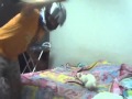 The Best Harlem Shake Of The World El Mejor Harlem Shake Del Mundo