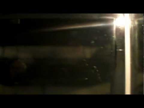 02 voyageurs du ciel et de la mer   futuroscope