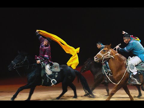 一匹白馬的熱夢