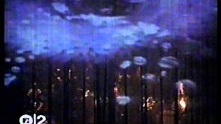 Cornelius - Mic Check (live)