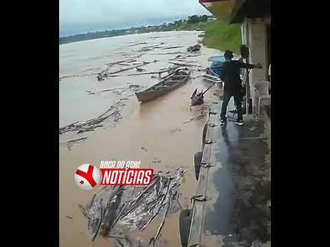 Vídeo engraçado BOCA DO ACRE