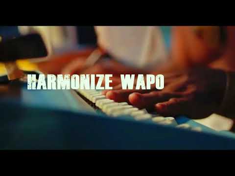 harmonize wapo djmwanga,com officially video
