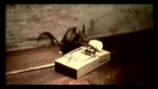 Mouse Trap and MIGHTY MOUSE