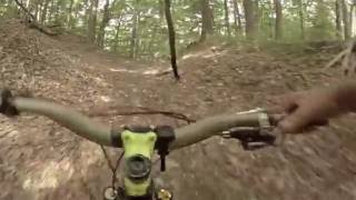 On the Walnut Trail from the Picnic Table Climb, up to the small jump at the top.