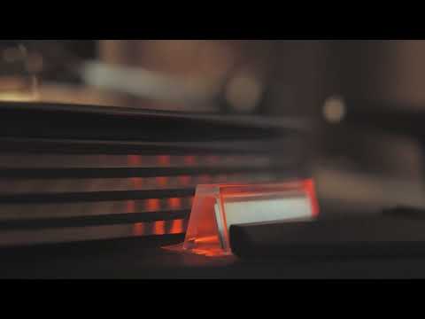 Dragoslav Mihailović - Utopljenica