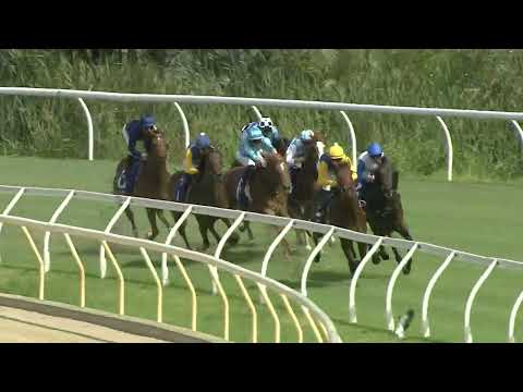 PARADOXIUM - Magic Millions Wyong 2yo Classic 2025 (2YO SW RLR) Restricted Listed Wyong 10 December