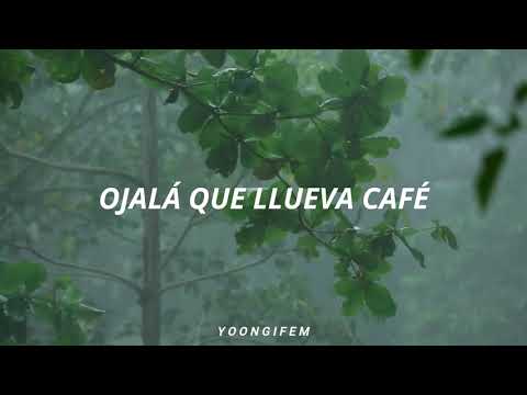 Juan Luis Guerra - Ojalá que llueva café (LETRA)