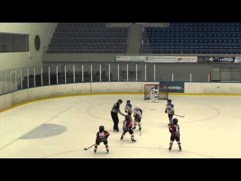 Tatabányai Polipok .Vasas HC torna 7