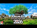 Disney S Animal Kingdom RIDES ATTRACTIONS 2026 Walt Disney World