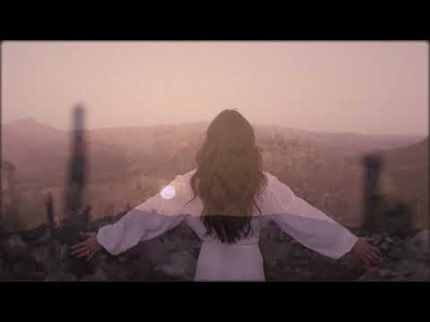 Schiller - Dream Of You (NG Remix)