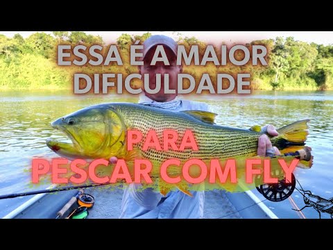 A maior dificuldade do arremesso de fly e a melhor vara de fly para superar isso e pescar tucunaré.