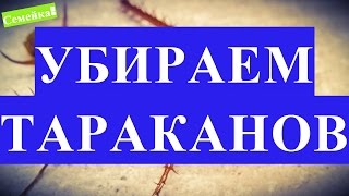 Чем травить тараканов в квартире Чем травить тараканов в квартире