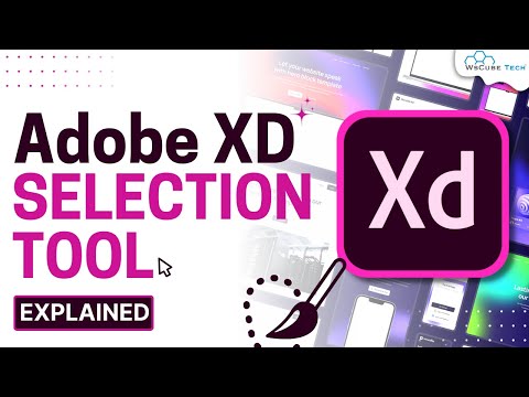 How to Use Selection Tool in Adobe XD | Adobe XD Design Tutorial UI UX Design Course