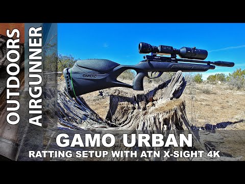 Gamo Urban Setup and Testing for my NEW Ratting Gun!