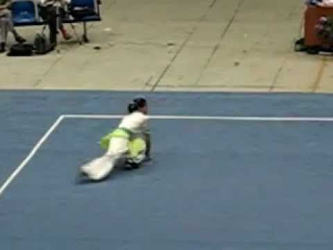 Zhang Chun Yan (Zhejiang) - Changquan 35 [2006 China Women's Wushu National Qualifiers]