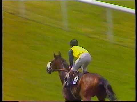 1991 Queen Mary Stakes Marling Includes Replay