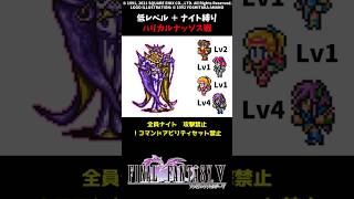 FF5 ナイトだけでハリカルナッソス 低Lv FINAL FANTASY V SFC版 job unification & Low-Level Run VS Halicarnassus